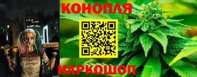 МДПВ Лесосибирск