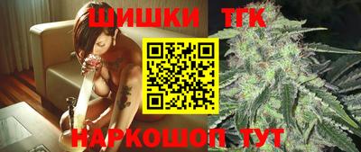 МДПВ Лесосибирск